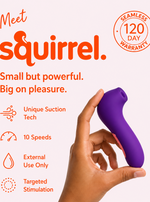 Squirrel